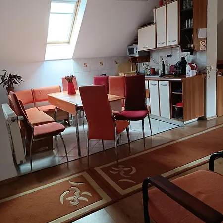 Homestay Pasager House Sovata