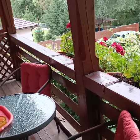 Homestay Pasager House Sovata