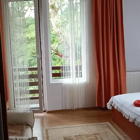 Homestay Pasager House Sovata