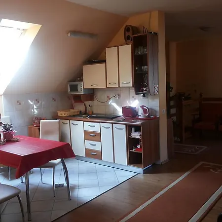 Pasager House Sovata