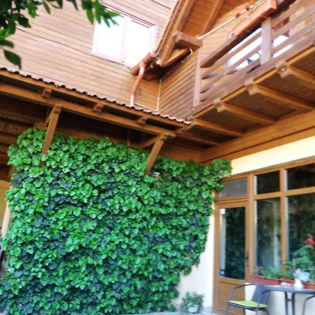 Homestay Pasager House Sovata
